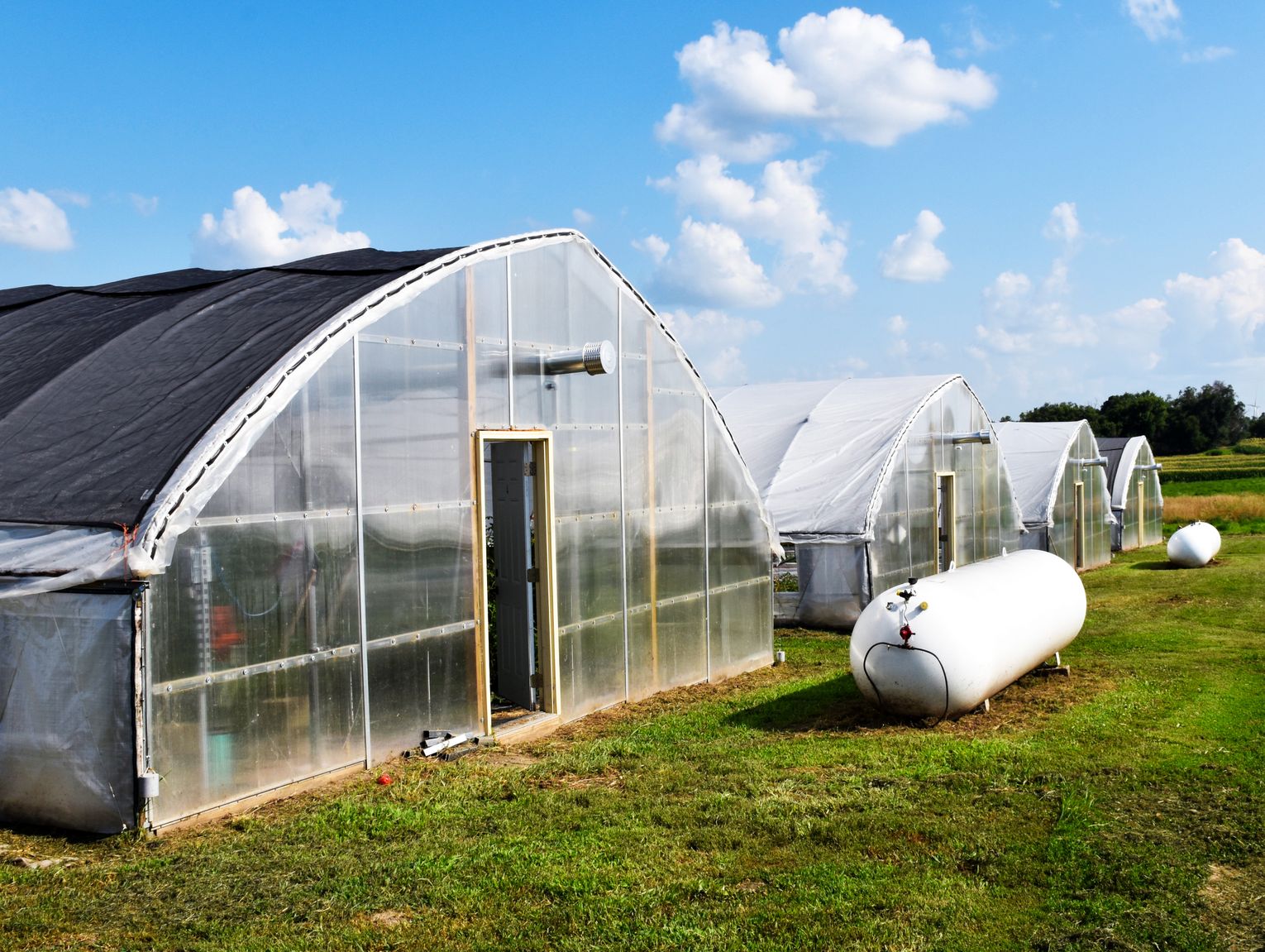 Producers tour Iowa’s largest organic-certified farm